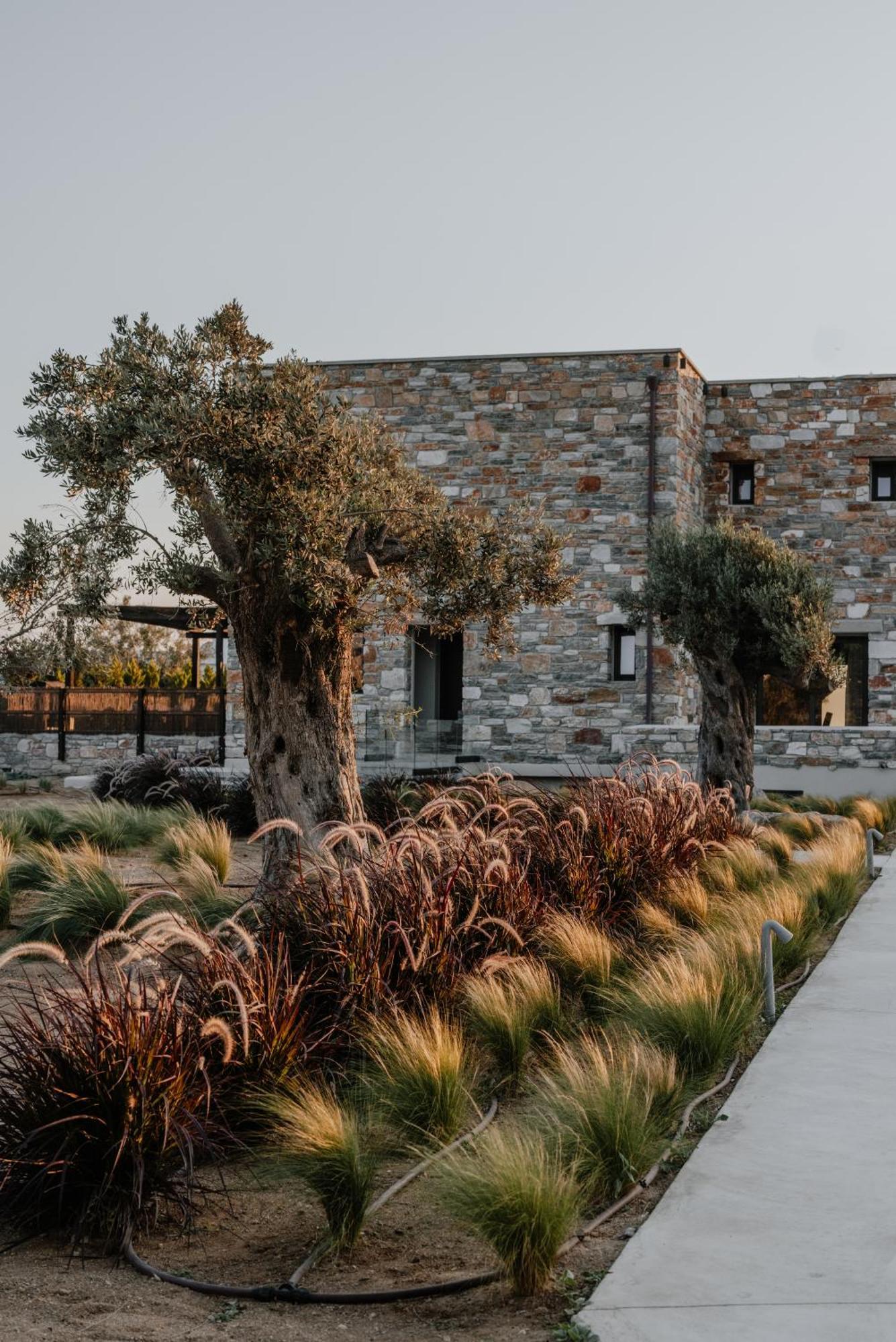 Onym Curated Villas Plaka  Exterior photo