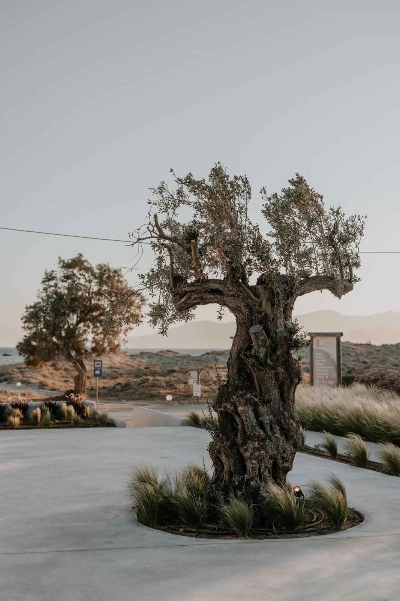 Onym Curated Villas Plaka  Exterior photo